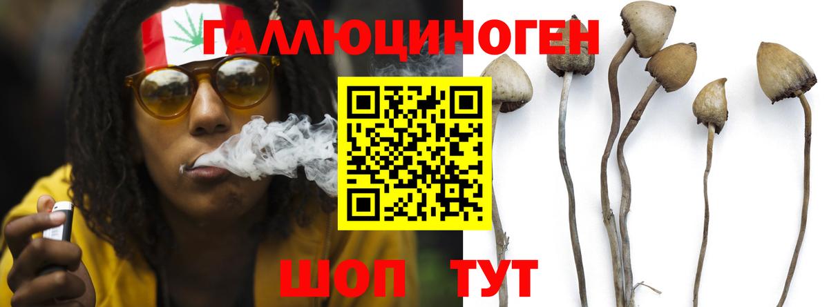 Псилоцибиновые грибы MAGIC MUSHROOMS Артём